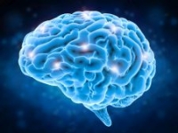 Brain Power.jpg Brain Power.jpg